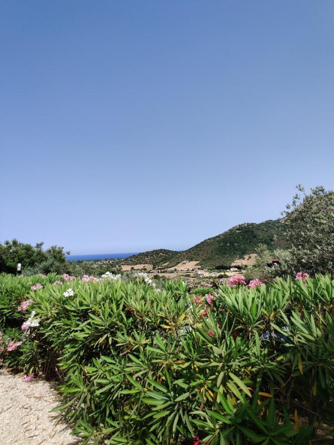 Natur Hotel Tanca Cardedu Kültér fotó