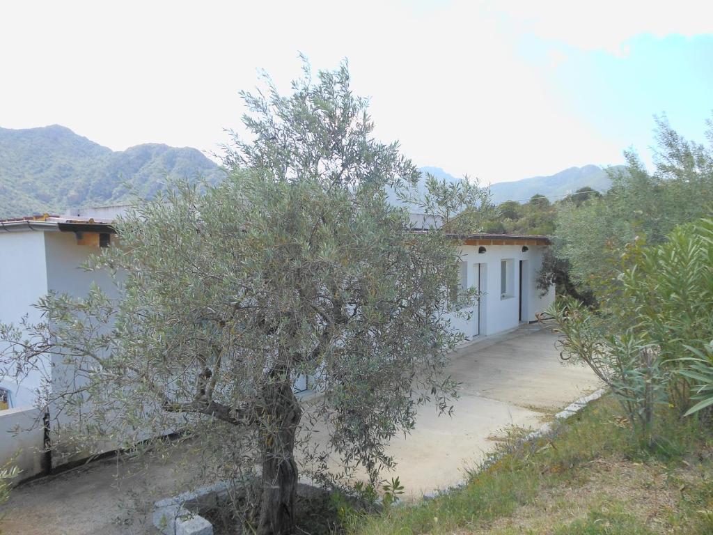 Natur Hotel Tanca Cardedu Kültér fotó