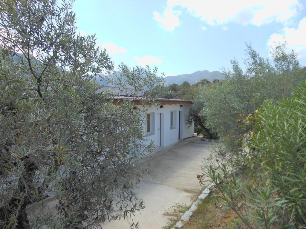 Natur Hotel Tanca Cardedu Kültér fotó